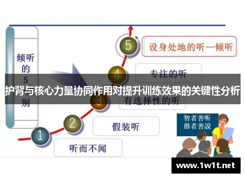 护背与核心力量协同作用对提升训练效果的关键性分析